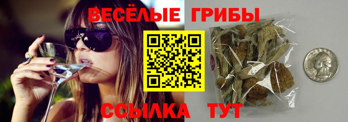 Галлюциногенные грибы Magic Shrooms Тында