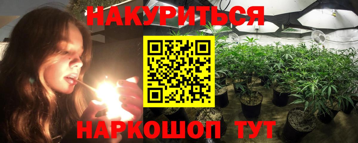 Шишки марихуана марихуана Тында